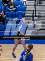 Photo from the gallery "Marshall @ Cotter"