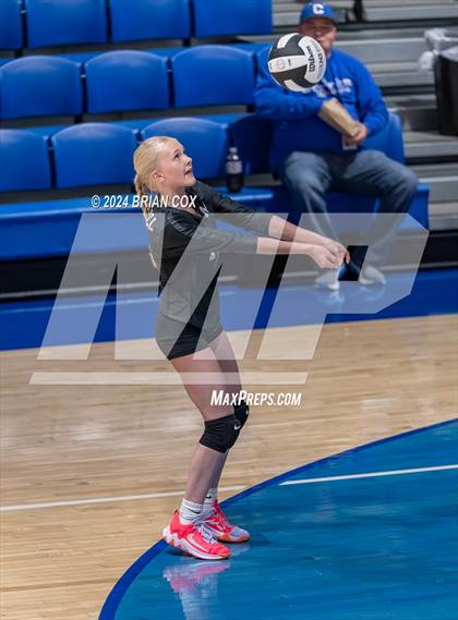 Thumbnail 2 in Marshall @ Cotter photogallery.