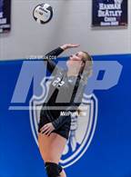 Photo from the gallery "Marshall @ Cotter"
