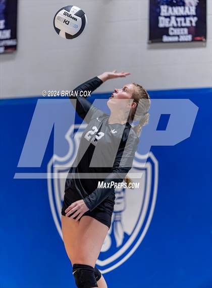 Thumbnail 3 in Marshall @ Cotter photogallery.