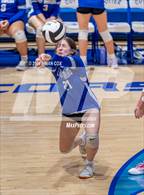 Photo from the gallery "Marshall @ Cotter"