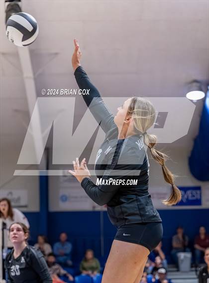 Thumbnail 1 in Marshall @ Cotter photogallery.
