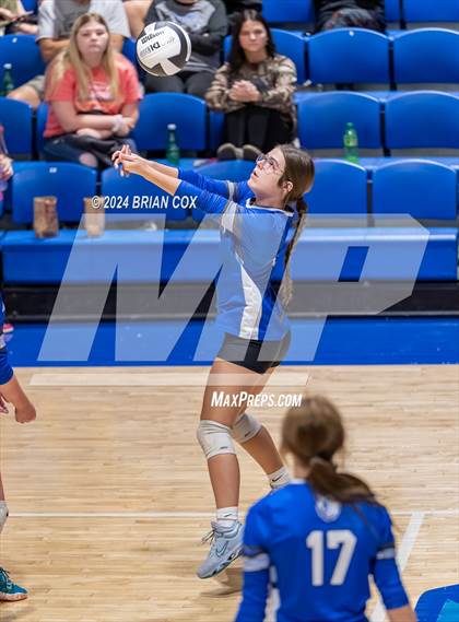 Thumbnail 1 in Marshall @ Cotter photogallery.