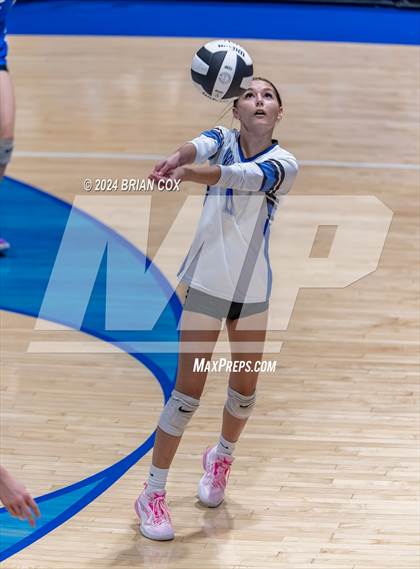 Thumbnail 1 in Marshall @ Cotter photogallery.