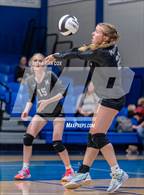 Photo from the gallery "Marshall @ Cotter"