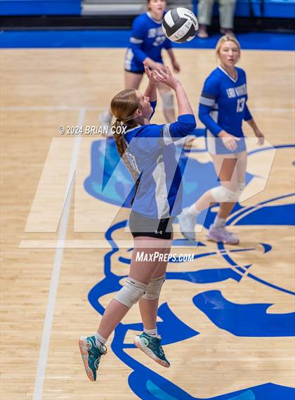 Thumbnail 3 in Marshall @ Cotter photogallery.