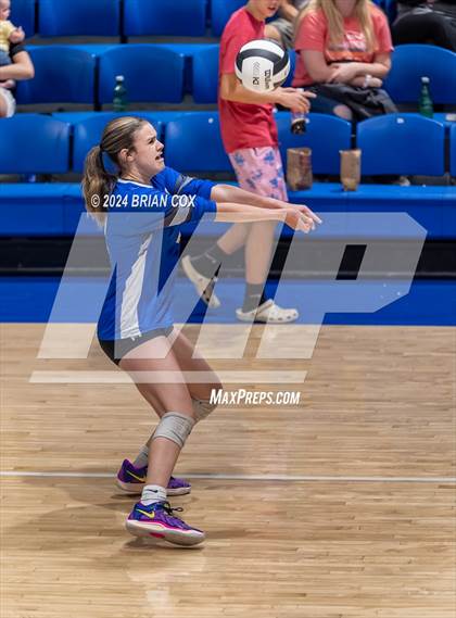 Thumbnail 1 in Marshall @ Cotter photogallery.