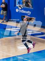 Photo from the gallery "Marshall @ Cotter"