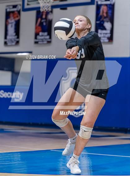 Thumbnail 1 in Marshall @ Cotter photogallery.