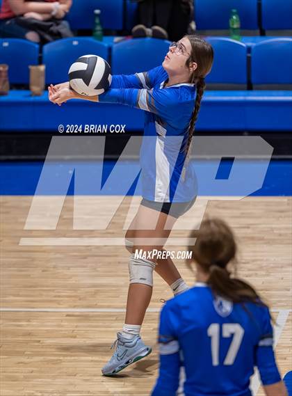Thumbnail 3 in Marshall @ Cotter photogallery.