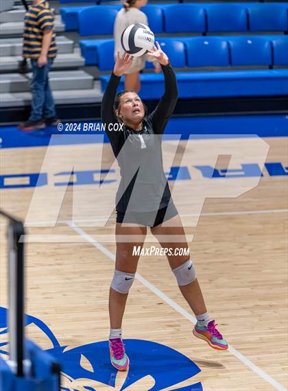 Thumbnail 2 in Marshall @ Cotter photogallery.