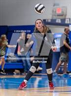 Photo from the gallery "Marshall @ Cotter"