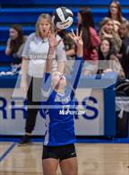 Photo from the gallery "Marshall @ Cotter"