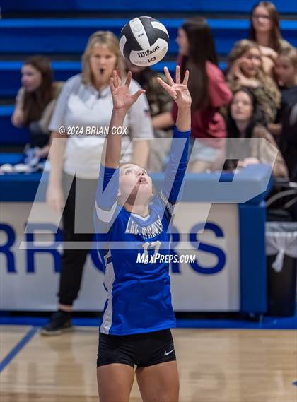 Thumbnail 1 in Marshall @ Cotter photogallery.