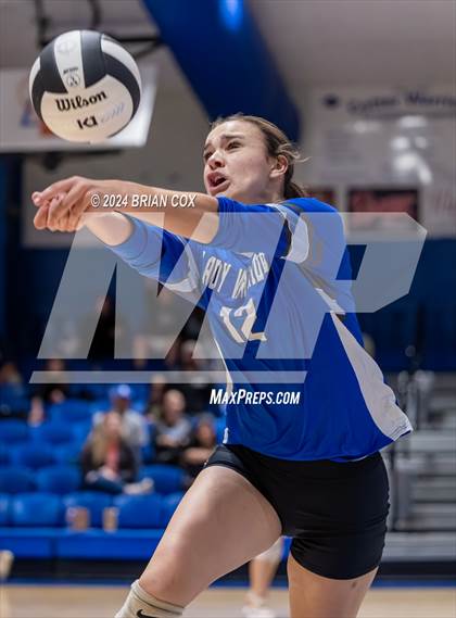 Thumbnail 3 in Marshall @ Cotter photogallery.