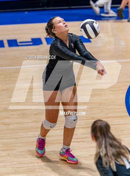 Thumbnail 3 in Marshall @ Cotter photogallery.