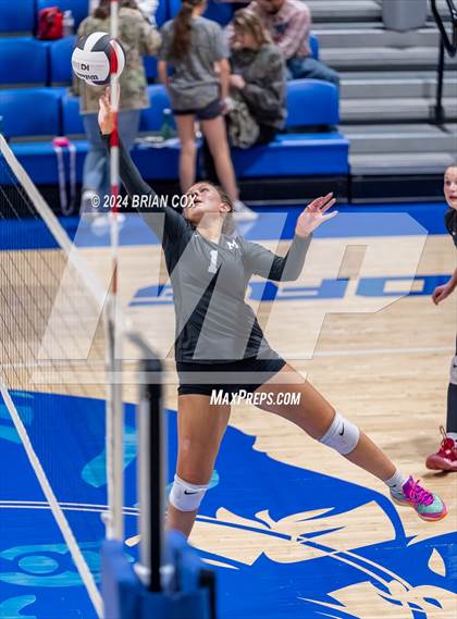 Thumbnail 2 in Marshall @ Cotter photogallery.