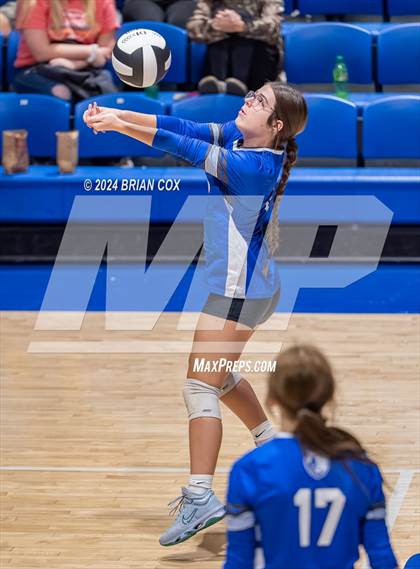 Thumbnail 2 in Marshall @ Cotter photogallery.
