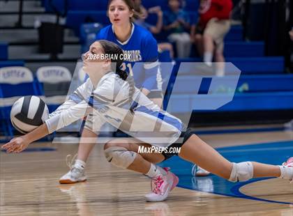 Thumbnail 1 in Marshall @ Cotter photogallery.