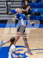 Photo from the gallery "Marshall @ Cotter"