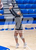 Photo from the gallery "Marshall @ Cotter"