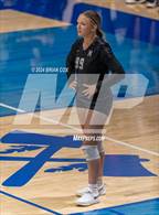 Photo from the gallery "Marshall @ Cotter"