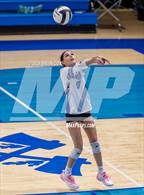 Photo from the gallery "Marshall @ Cotter"