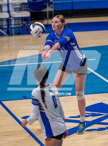 Thumbnail 2 in Marshall @ Cotter photogallery.