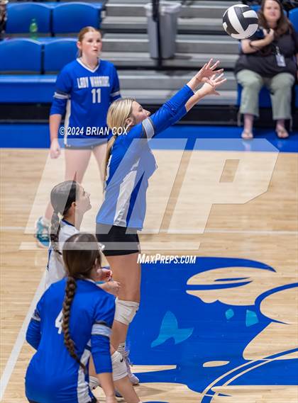 Thumbnail 1 in Marshall @ Cotter photogallery.