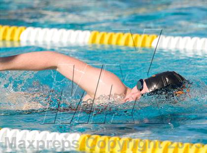 Thumbnail 3 in Don Lugo vs Chaffey photogallery.
