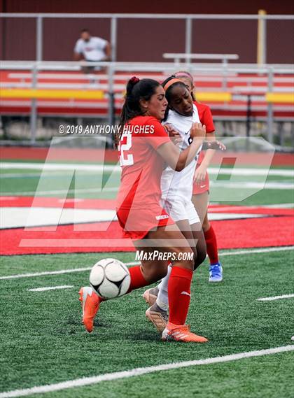 Thumbnail 1 in Carey @ Mineola photogallery.