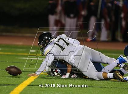 Thumbnail 3 in Marquez @ Beckman photogallery.