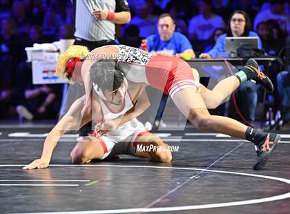 Thumbnail 1 in UIL 6A Championship Finals 106, 113, 120lb photogallery.