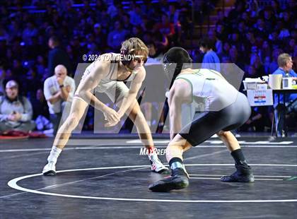 Thumbnail 1 in UIL 6A Championship Finals 106, 113, 120lb photogallery.