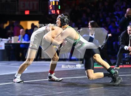 Thumbnail 2 in UIL 6A Championship Finals 106, 113, 120lb photogallery.