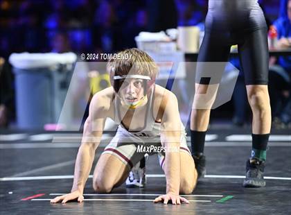 Thumbnail 2 in UIL 6A Championship Finals 106, 113, 120lb photogallery.
