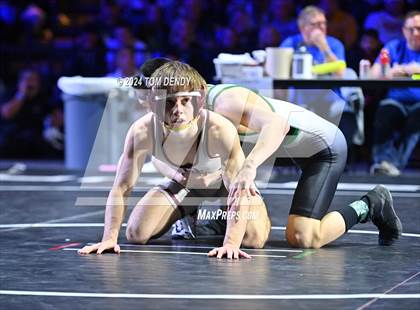 Thumbnail 1 in UIL 6A Championship Finals 106, 113, 120lb photogallery.