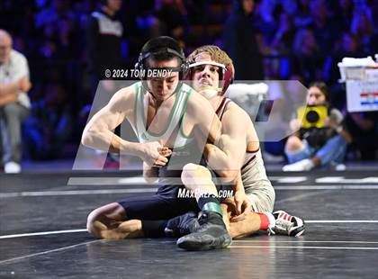 Thumbnail 1 in UIL 6A Championship Finals 106, 113, 120lb photogallery.