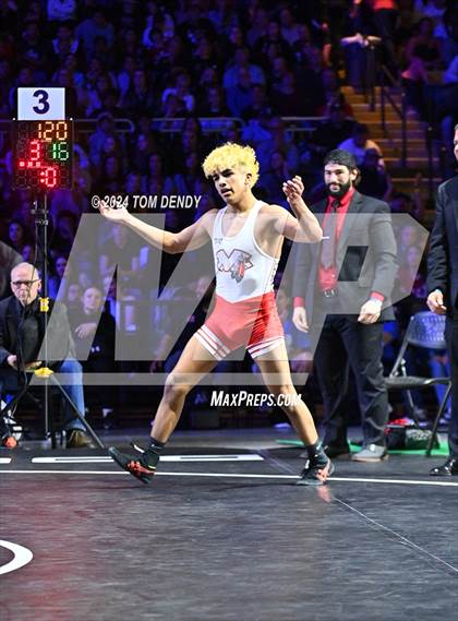 Thumbnail 1 in UIL 6A Championship Finals 106, 113, 120lb photogallery.