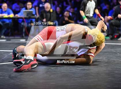 Thumbnail 3 in UIL 6A Championship Finals 106, 113, 120lb photogallery.
