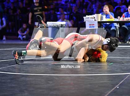 Thumbnail 3 in UIL 6A Championship Finals 106, 113, 120lb photogallery.