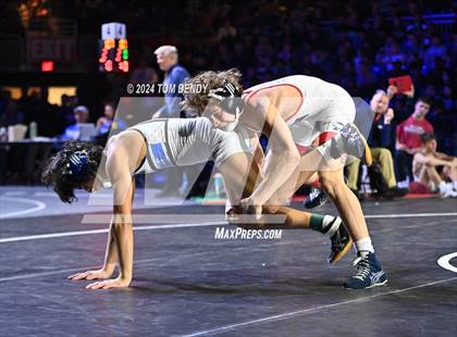Thumbnail 2 in UIL 6A Championship Finals 106, 113, 120lb photogallery.