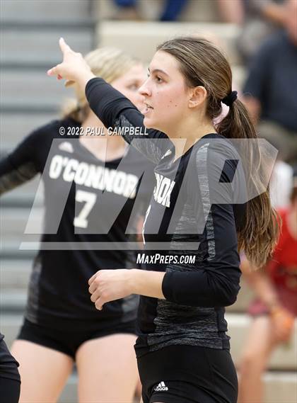Thumbnail 1 in Basha @ O'Connor photogallery.