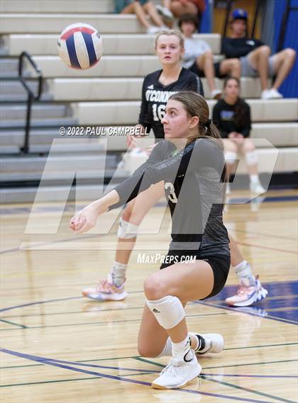 Thumbnail 3 in Basha @ O'Connor photogallery.