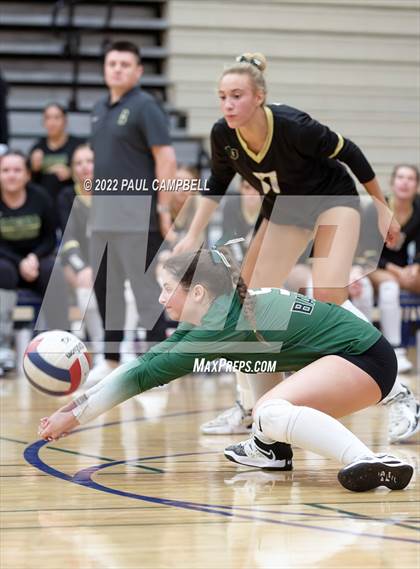 Thumbnail 2 in Basha @ O'Connor photogallery.
