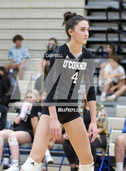 Thumbnail 2 in Basha @ O'Connor photogallery.