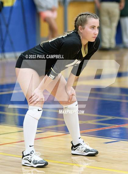 Thumbnail 3 in Basha @ O'Connor photogallery.