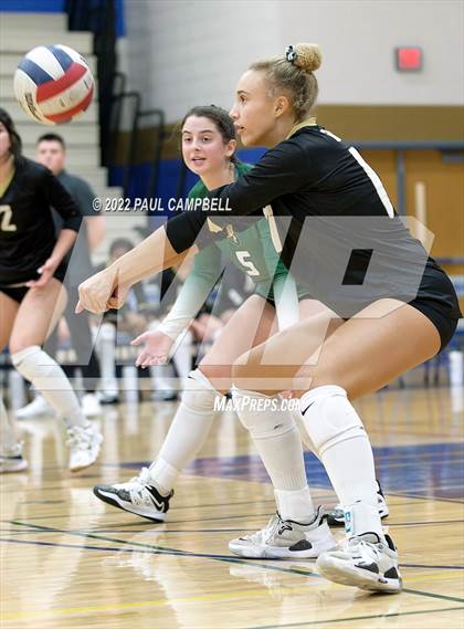 Thumbnail 2 in Basha @ O'Connor photogallery.