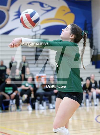 Thumbnail 1 in Basha @ O'Connor photogallery.