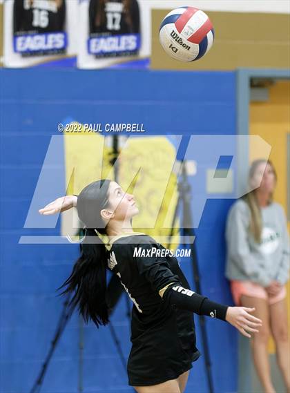 Thumbnail 3 in Basha @ O'Connor photogallery.